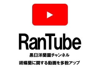 RanTube 黒臼洋蘭園チャンネル